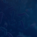 Common Digestive Issues and How Prebiotics Can Help